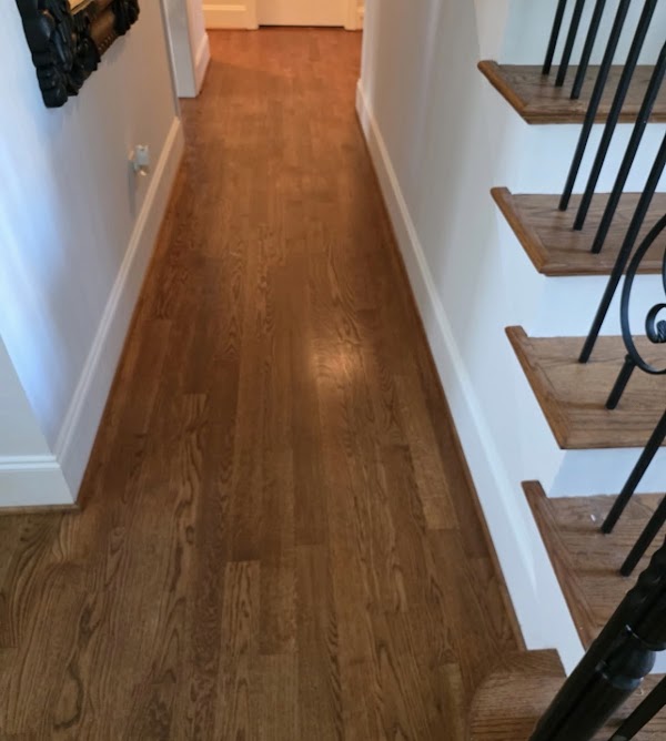 TopNotch Carpet & Upholstery Cleaning photo 1