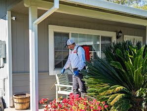 Big Time Pest Control 9