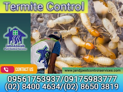 Termite Control Quezon City MM