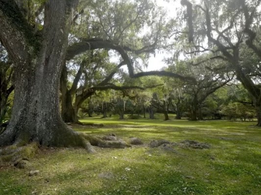 Community news photo