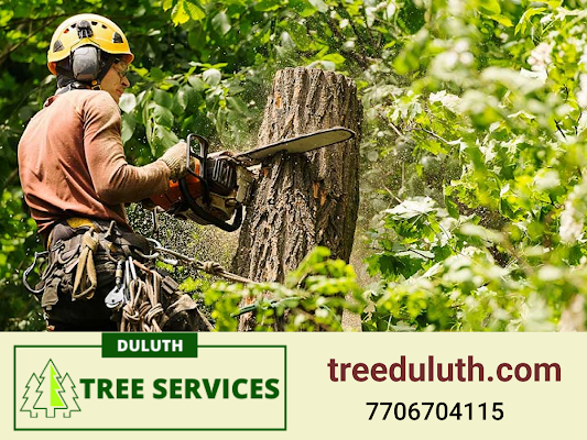 Douglasville Ga Tree Care