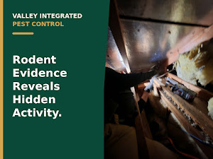 Valley Integrated Pest Control 4