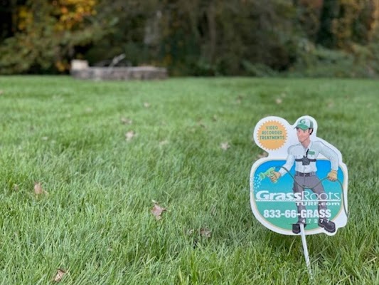 GrassRoots Turf of Douglasville Offers Pre-emergent Lawn Treatments to Prepare your Lawn for Spring Growth