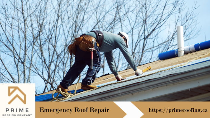 Roofing Company
