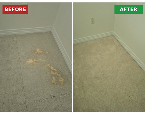 East Coast Carpet Care, Inc photo 1