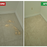 East Coast Carpet Care, Inc