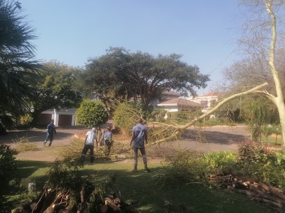 Tree cutting Woodhill