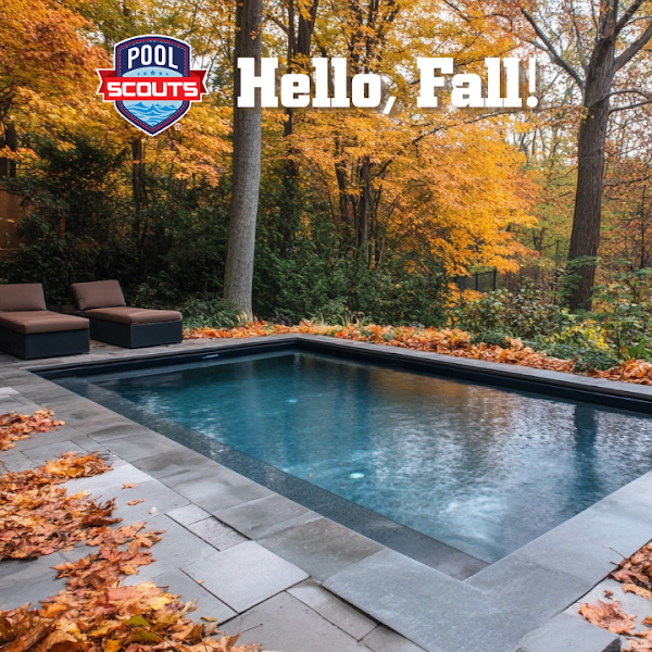 Pool Scouts of Nashville photo 1