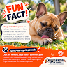 Off Leash K9 Training Hampton Roads