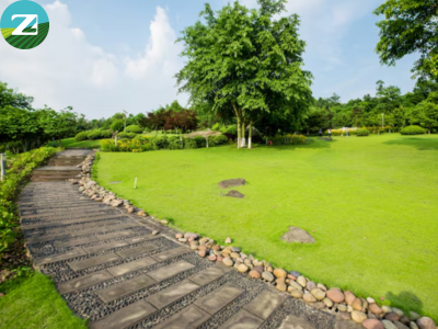 San Jose's Landscaping Experts