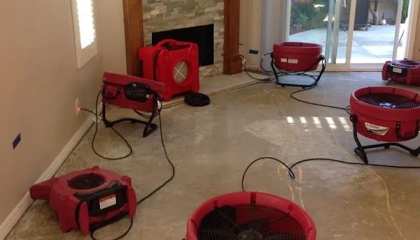 PuroClean of Auburn, AL photo 3