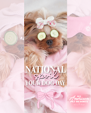 All American Pet Resorts Rochester Hills 10