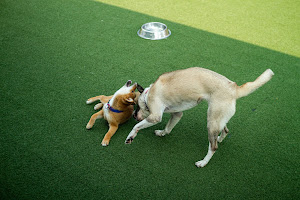 Synthetic Grass Warehouse 3