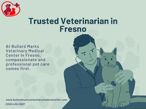 Bullard Marks Veterinary Medical Center 5