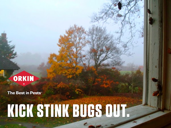 Orkin photo 1