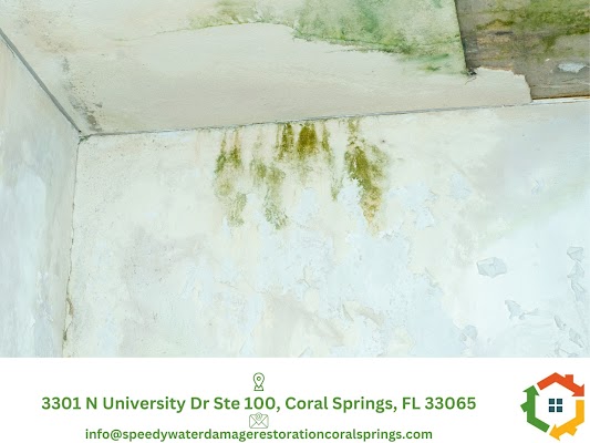 Water Damage Restoration Coral Springs, FL