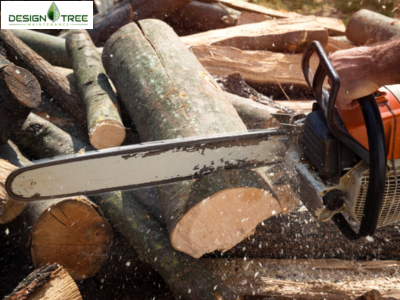 Emergency Tree Service