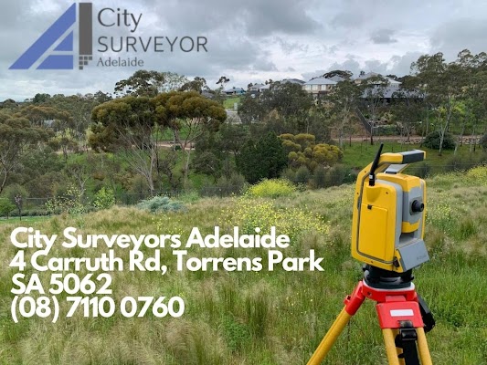Identification Survey Reports: What You Need to Know