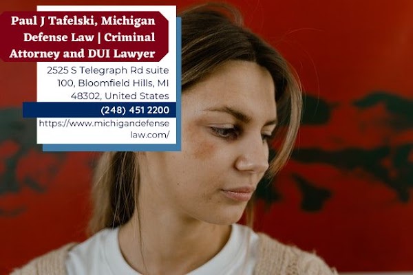 Michigan criminal defense lawyer