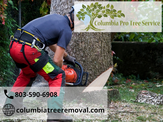 Tree Services Columbia SC