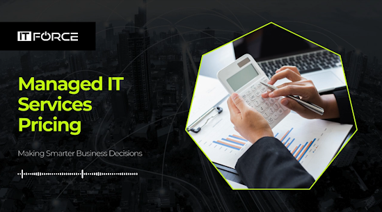 Mississauga IT Support