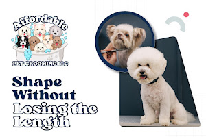 Affordable Pet Grooming 6