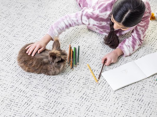 carpet Installation