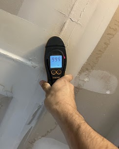 Moisture assessment with professional measuring tool