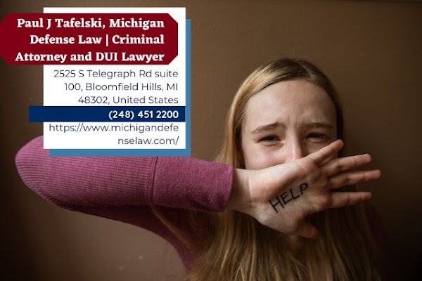 Michigan domestic violence lawyer