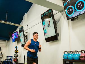 BFT Bondi Junction 7