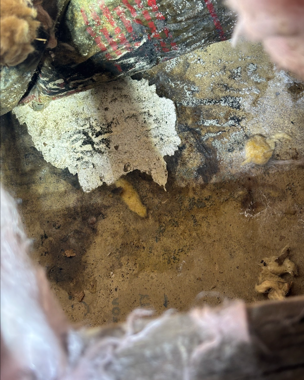 Breathe Easy Mold Remediation photo 1