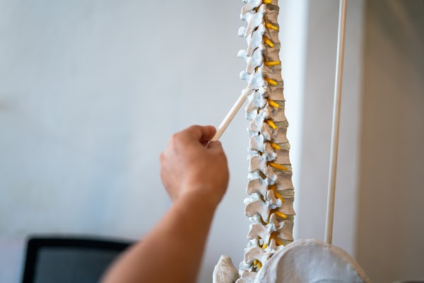 Chiropractic Health Club photo 1