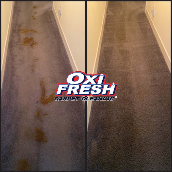 Oxi Fresh Carpet Cleaning photo 1