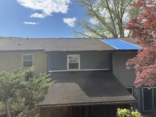 Alpha Shield Roofing & Siding, LLC photo 1