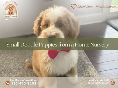 goldendoodle puppies Columbus Ohio