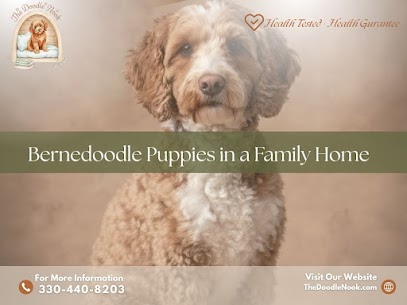 what to ask goldendoodle breeder