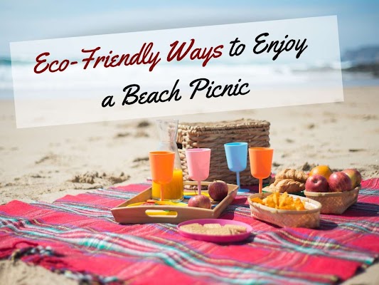 Eco-Friendly Beach Picnic