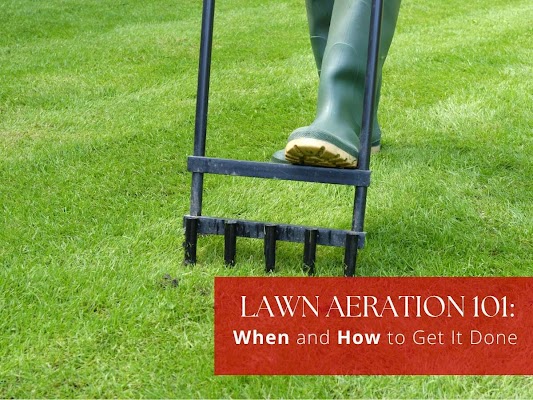 lawn aeration