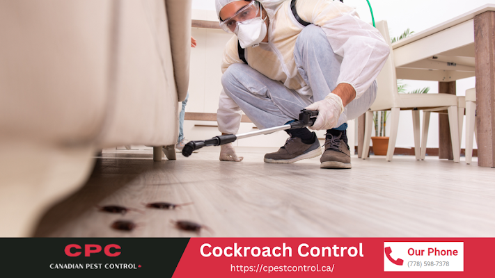 Pest Control Maple Ridge, BC