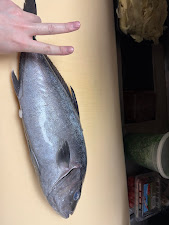 Osaki sushi 7