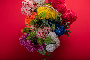 FMI Farms Flower Wholesale 7