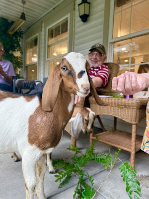 Community news photo