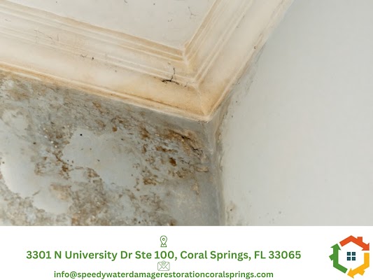 Water Damage Restoration Coral Springs, FL