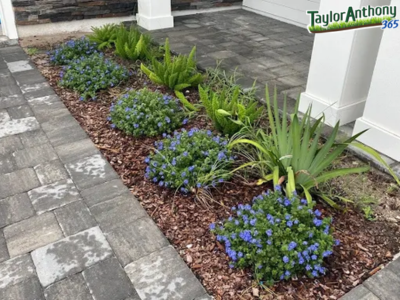 Professional Landscaping Experts