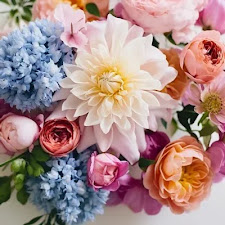 Dudley's Florist 3