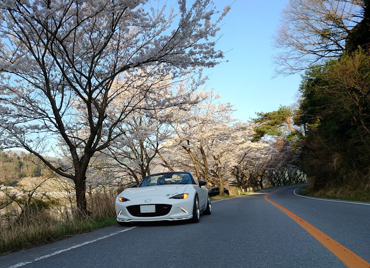 ロードスターのなお八さんが投稿したカスタム事例の投稿画像5枚目