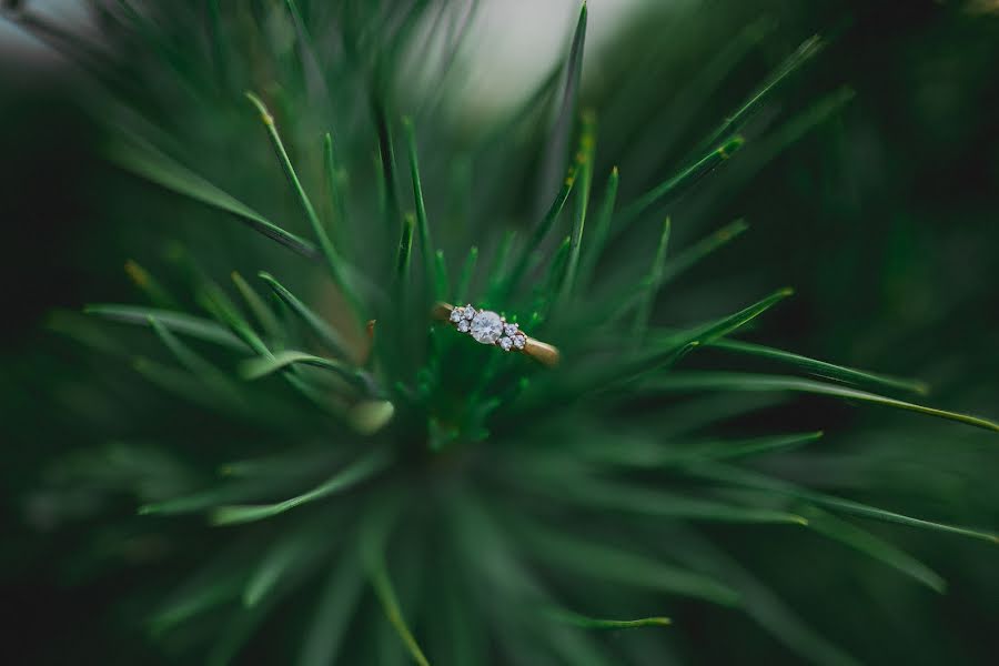 Fotógrafo de casamento Elena Shemekeeva (lenashemekeeva). Foto de 21 de outubro 2017