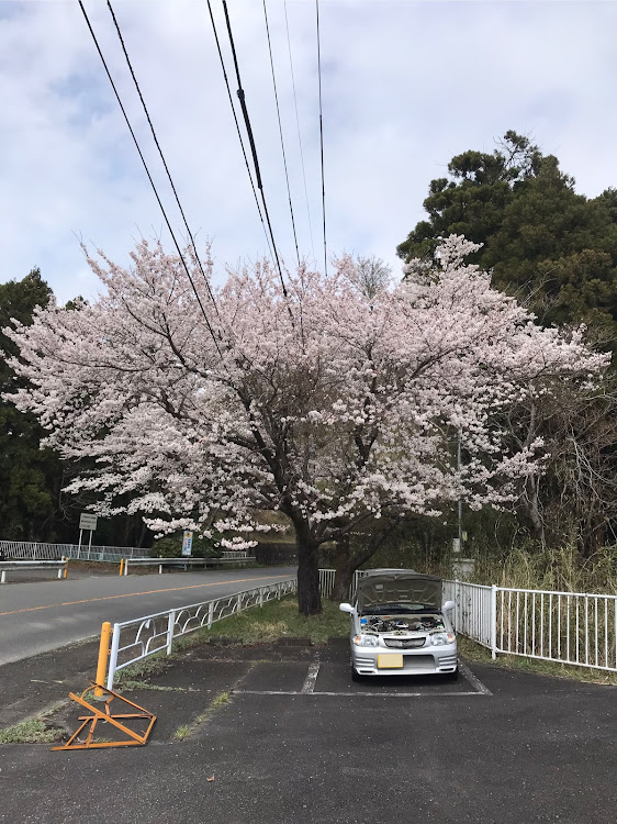 の投稿画像7枚目