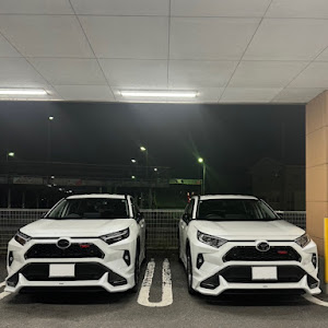 RAV4 MXAA54