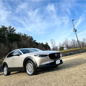 CX-30